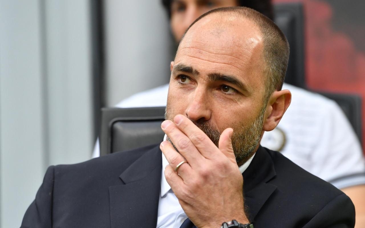 上海男排 上海男排