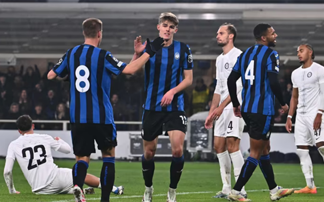 多点开花 多点开花