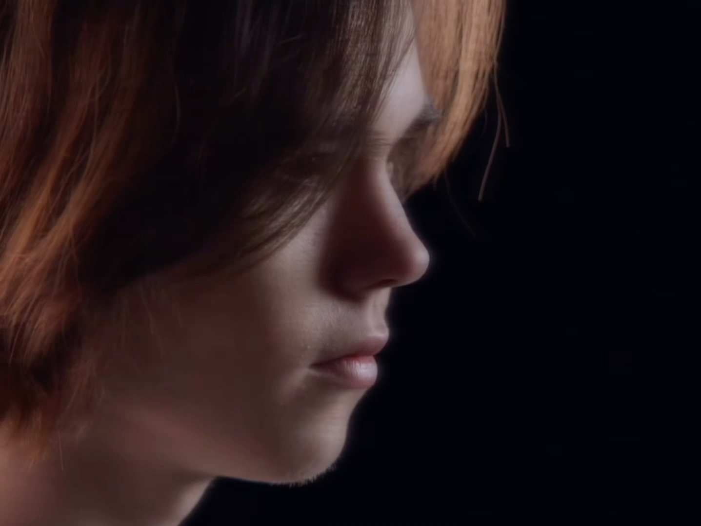 鹈鹕队有多 鹈鹕队有多