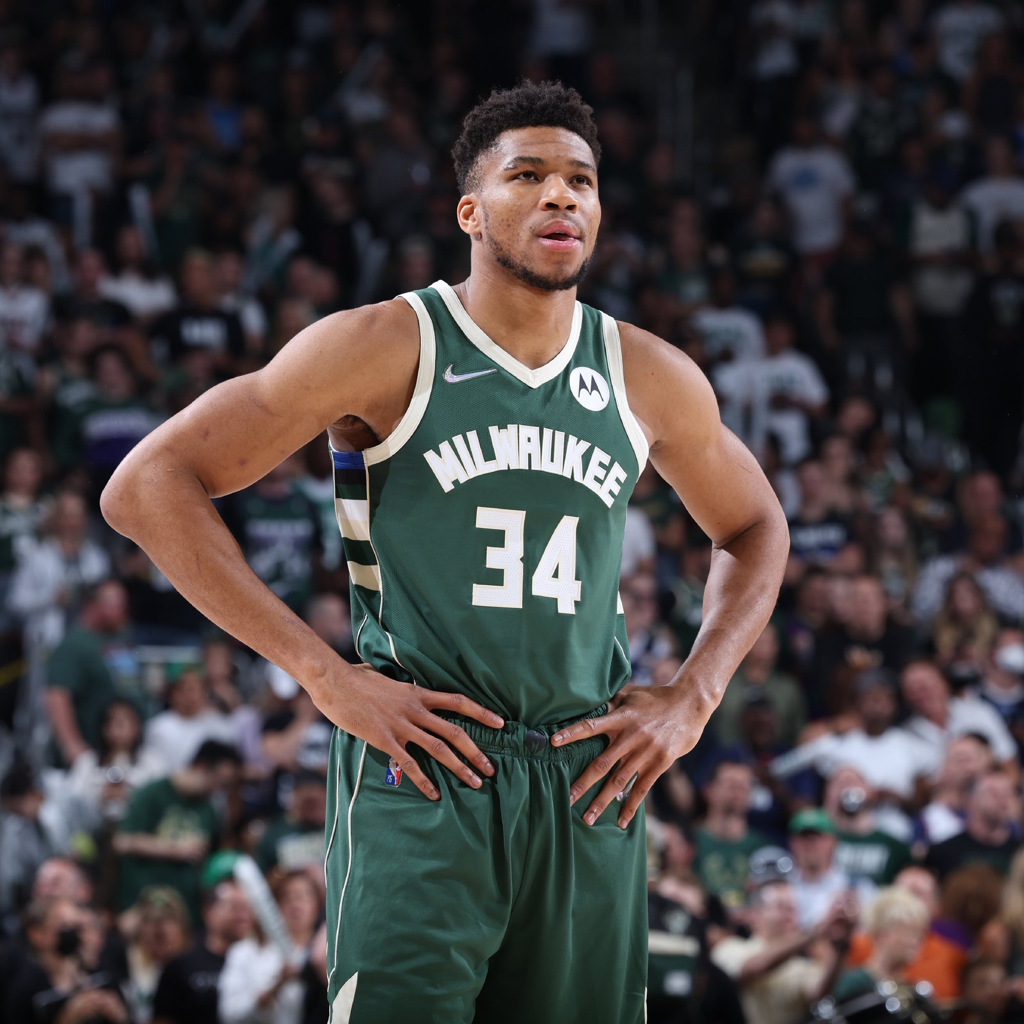 可参考近年 可参考近年